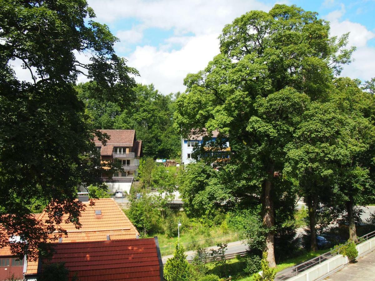 Apartment Harzgruen 2 Sankt Andreasberg Ngoại thất bức ảnh