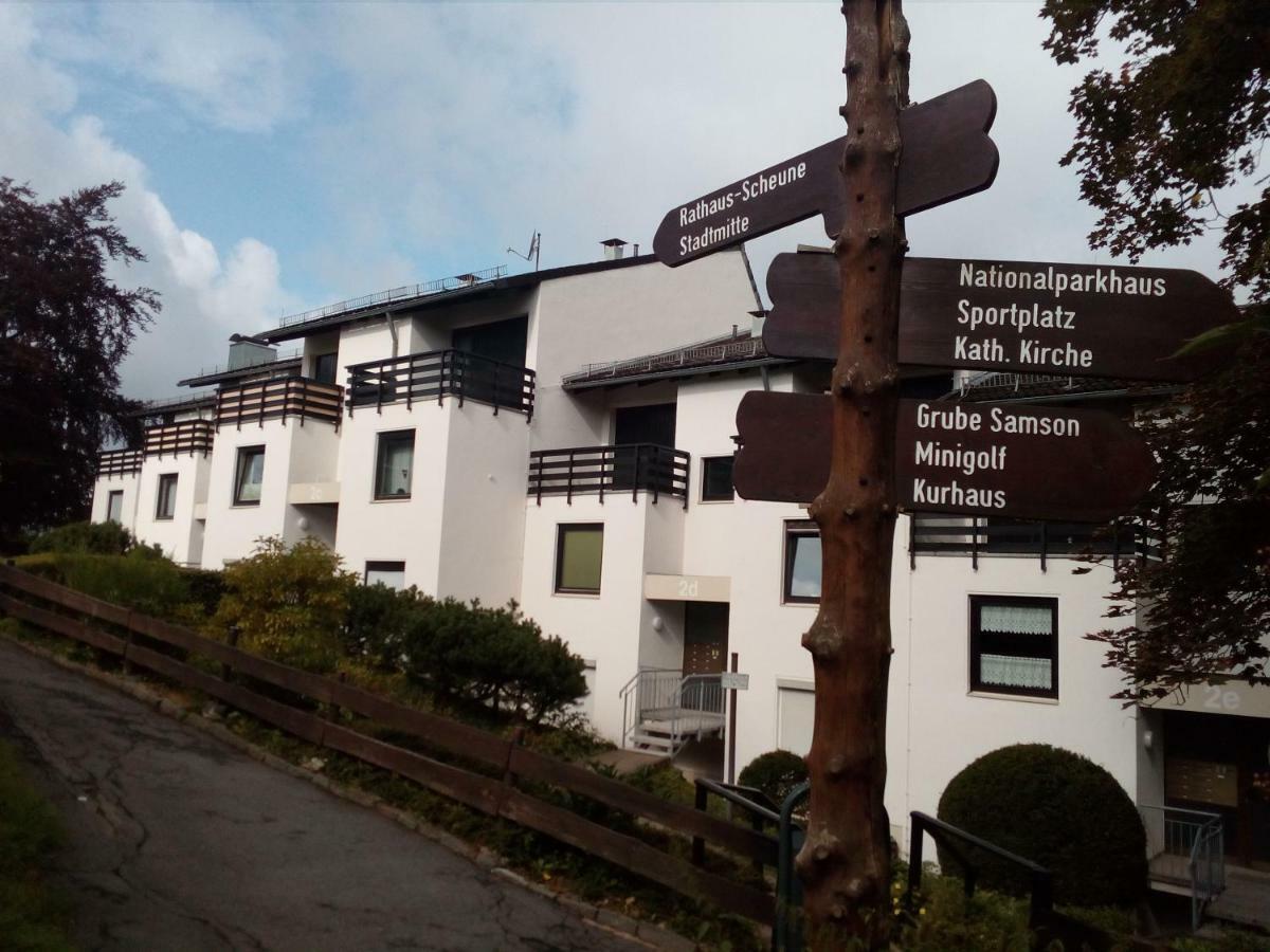 Apartment Harzgruen 2 Sankt Andreasberg Ngoại thất bức ảnh